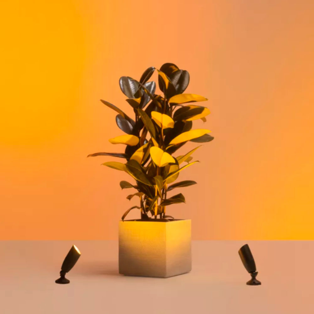 Kit Inicial de Luces de Suelo Wiz para Exterior