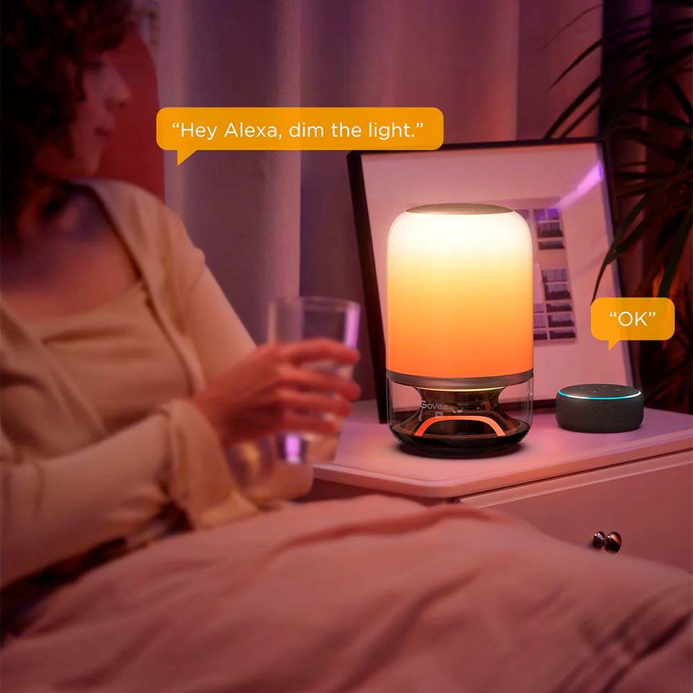 Lámpara de Mesa Govee 2 Pro con Sonido JBL