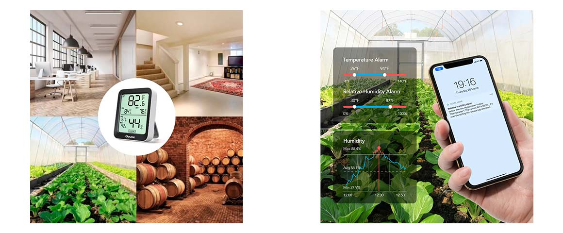 Pack Termómetro Higrómetro Bluetooth Govee