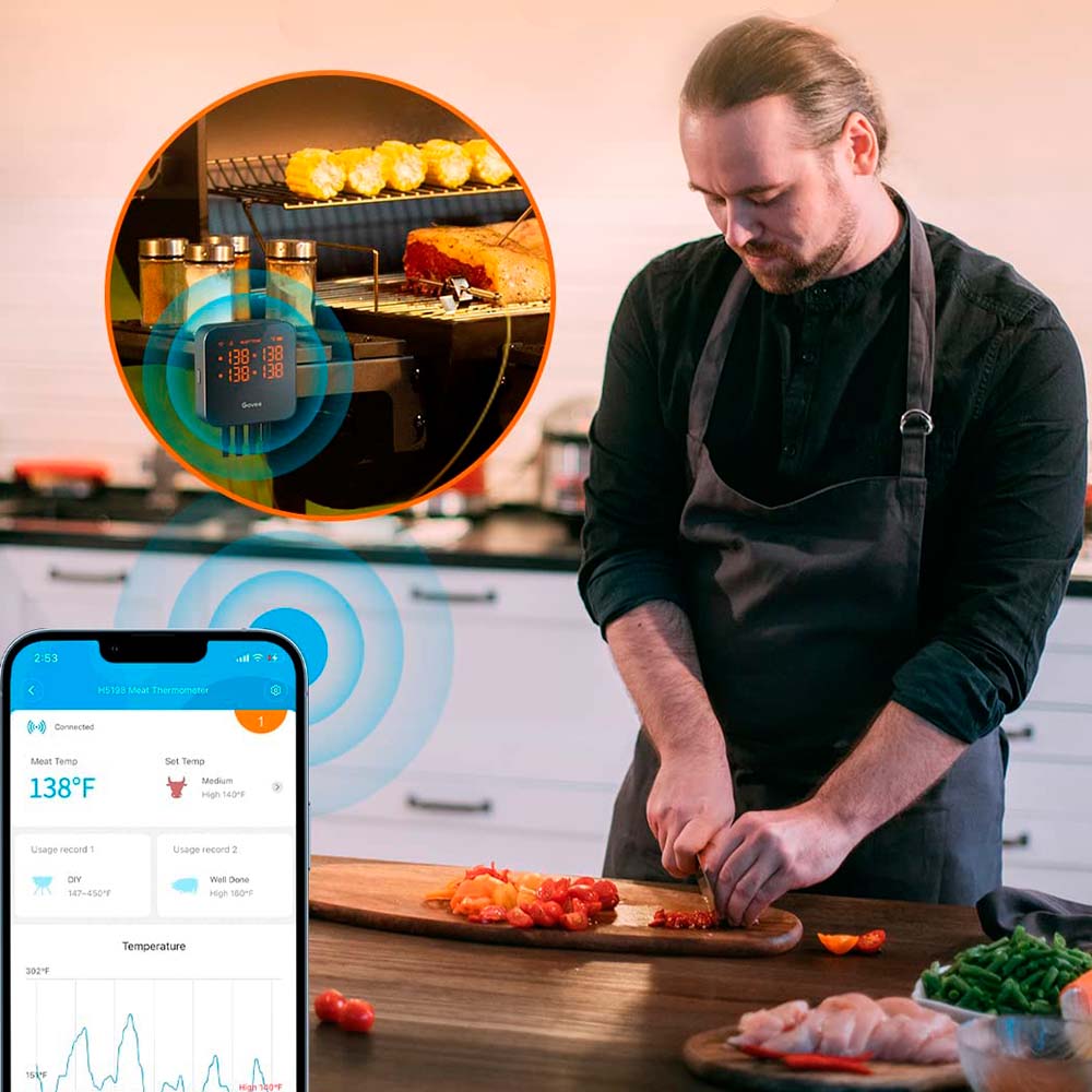 Termómetro de Carne Wifi con 4 Sondas - Govee