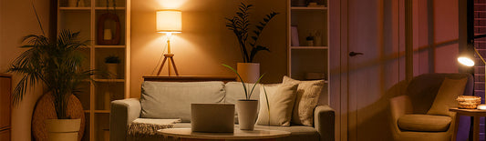 Convierte tus luces en inteligentes hoy!