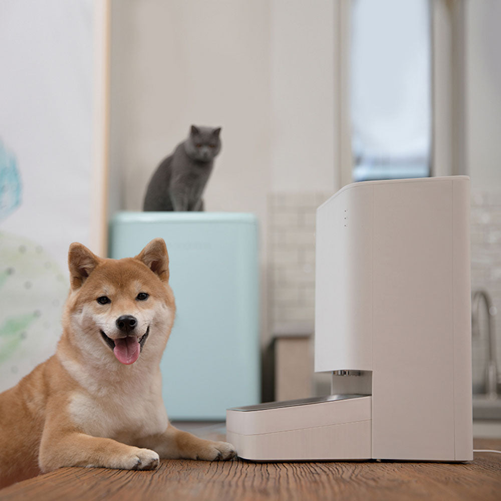 Alimentador para Mascotas Xiaomi Smart Pet Food Feeder EU