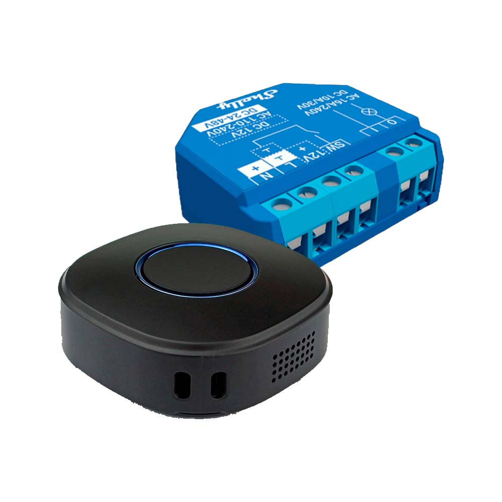 Pack Automatización Cerradura/Portón + control remoto