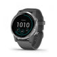 Garmin Vivoactive 4 Shadow Gray Stainless
