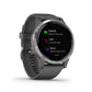 Garmin Vivoactive 4 Shadow Gray Stainless