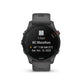 Garmin Forerunner 255 Basic Slate Grey
