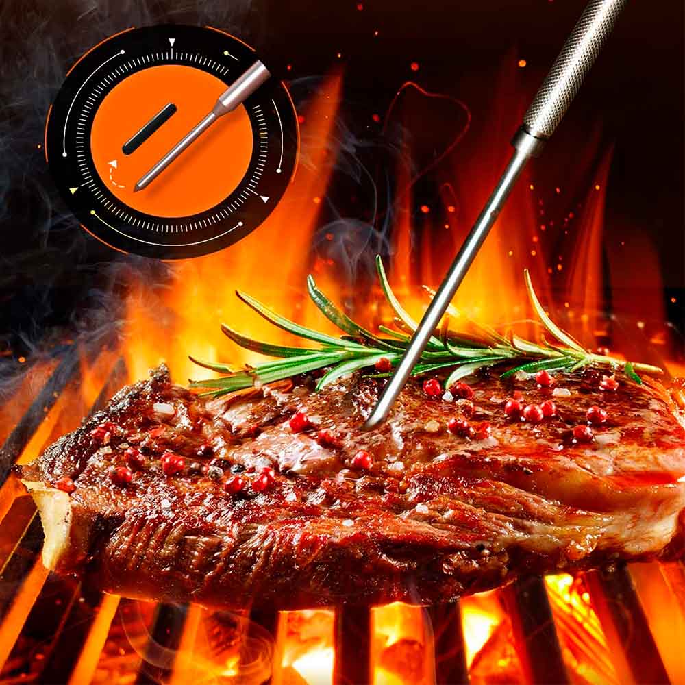 Termómetro de Carne Bluetooth con 4 Sondas - Govee