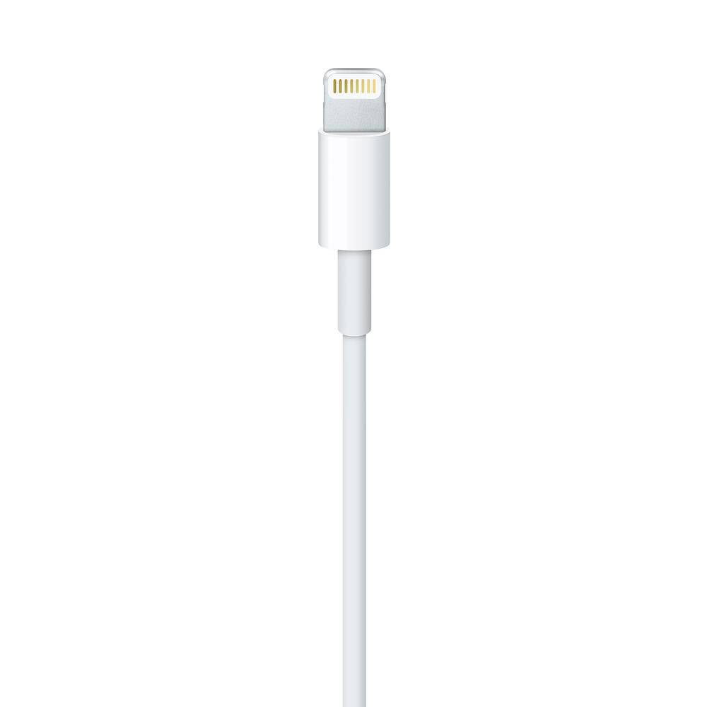 Cable Lightning a USB Apple 2 Mts