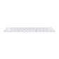 Teclado Apple Magic Keyboard - Español