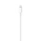 Cable USB-C a Lightning Apple 1 Mts