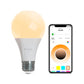 Ampolleta Essentials Smart A19 Nanoleaf